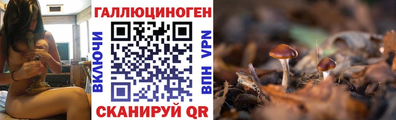 Псилоцибиновые грибы прущие грибы  Новоуральск 